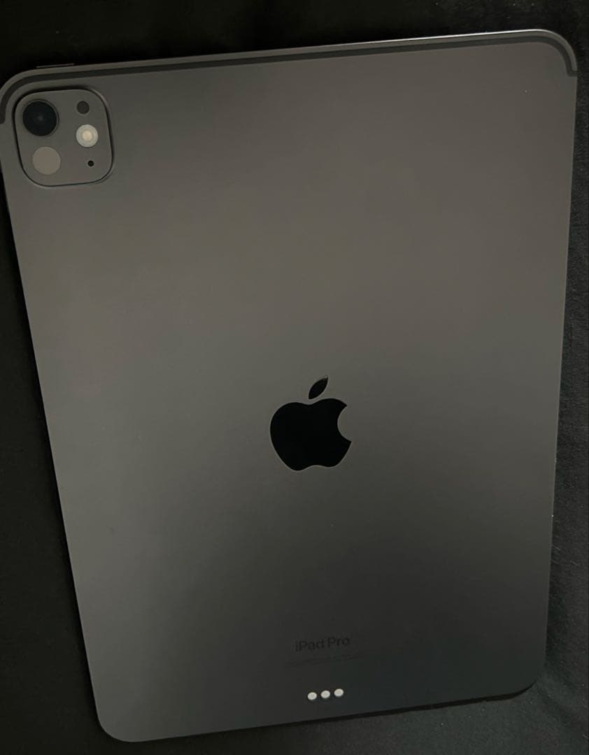 Apple iPad Pro 11インチ 256GB