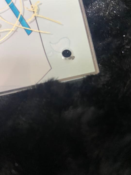 黛灰　まゆずみ　かい　にじさんじ　セット　Vtuber ぶるーず　まとめ　パネル