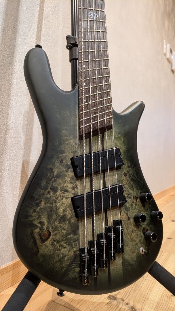 Spector NS Dimension 5 5弦ベース モスグリーン