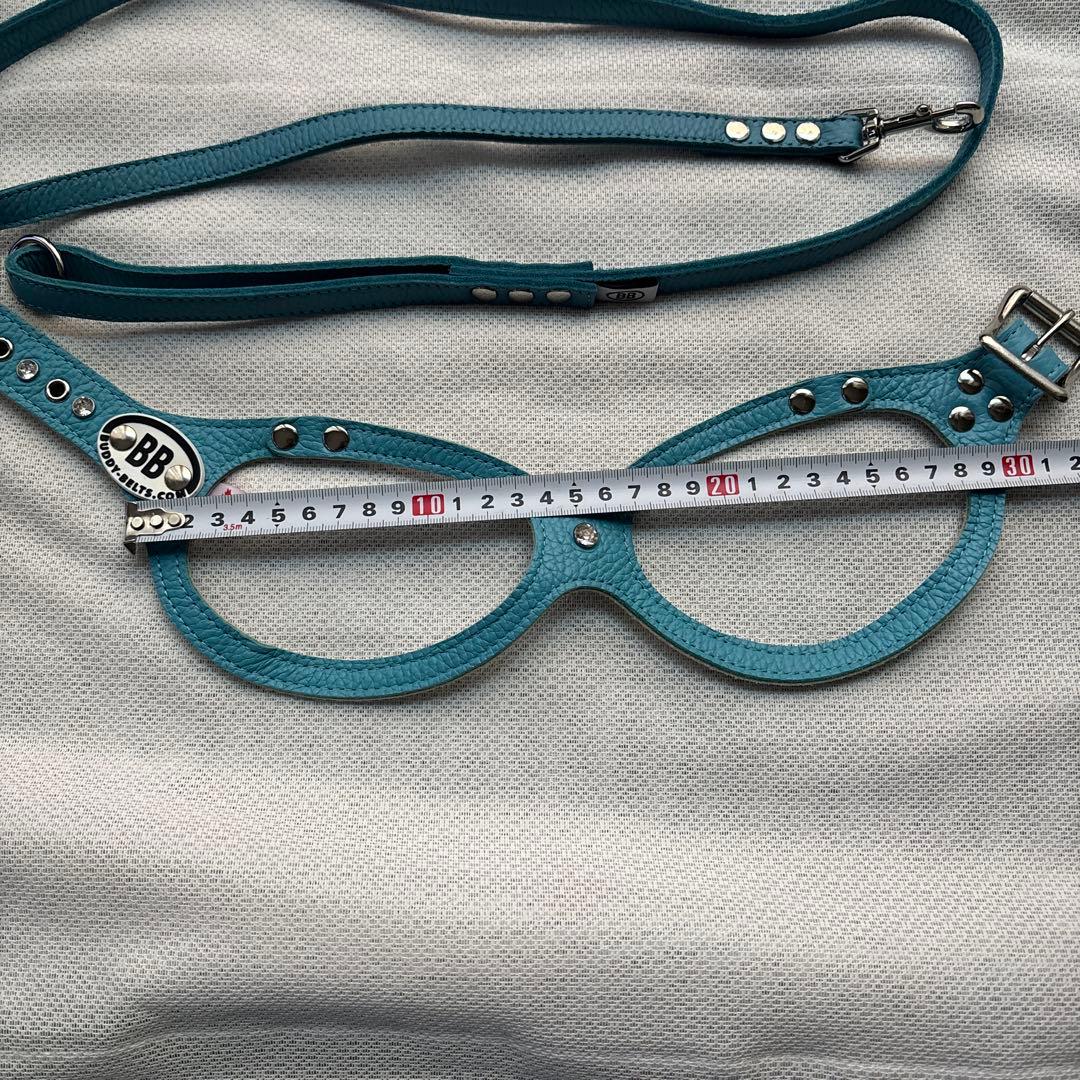 美品バディーベルト&レザーリードセット