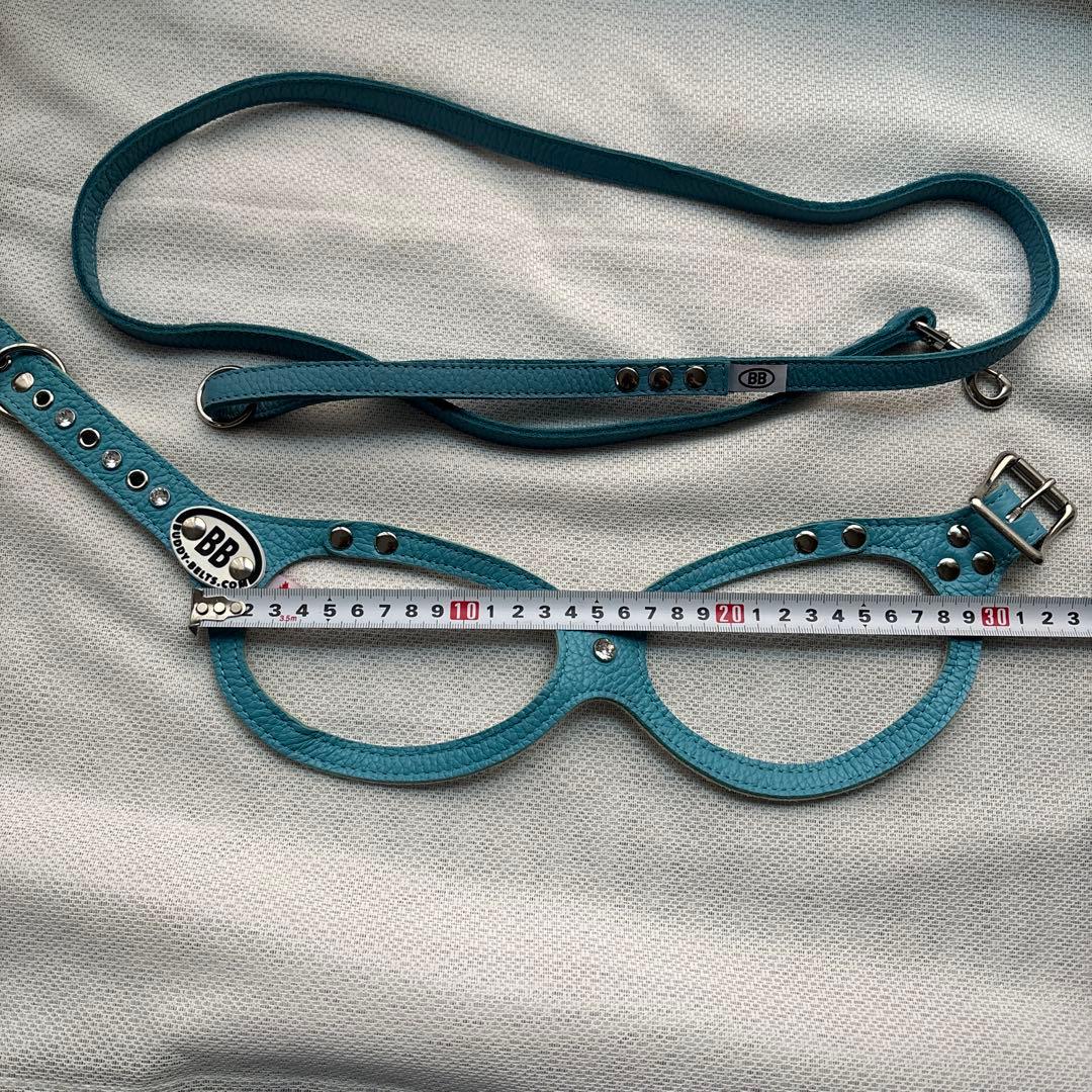 美品バディーベルト&レザーリードセット