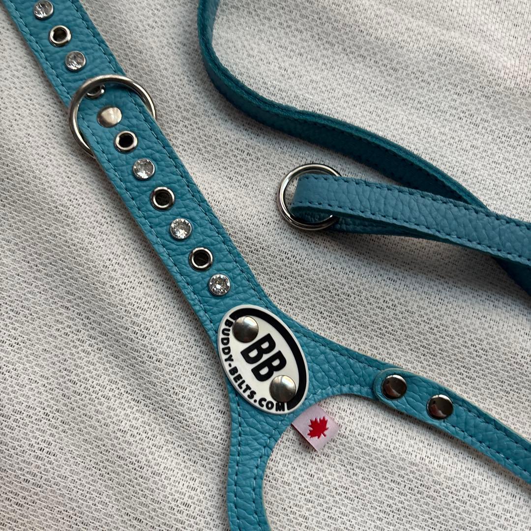 美品バディーベルト&レザーリードセット