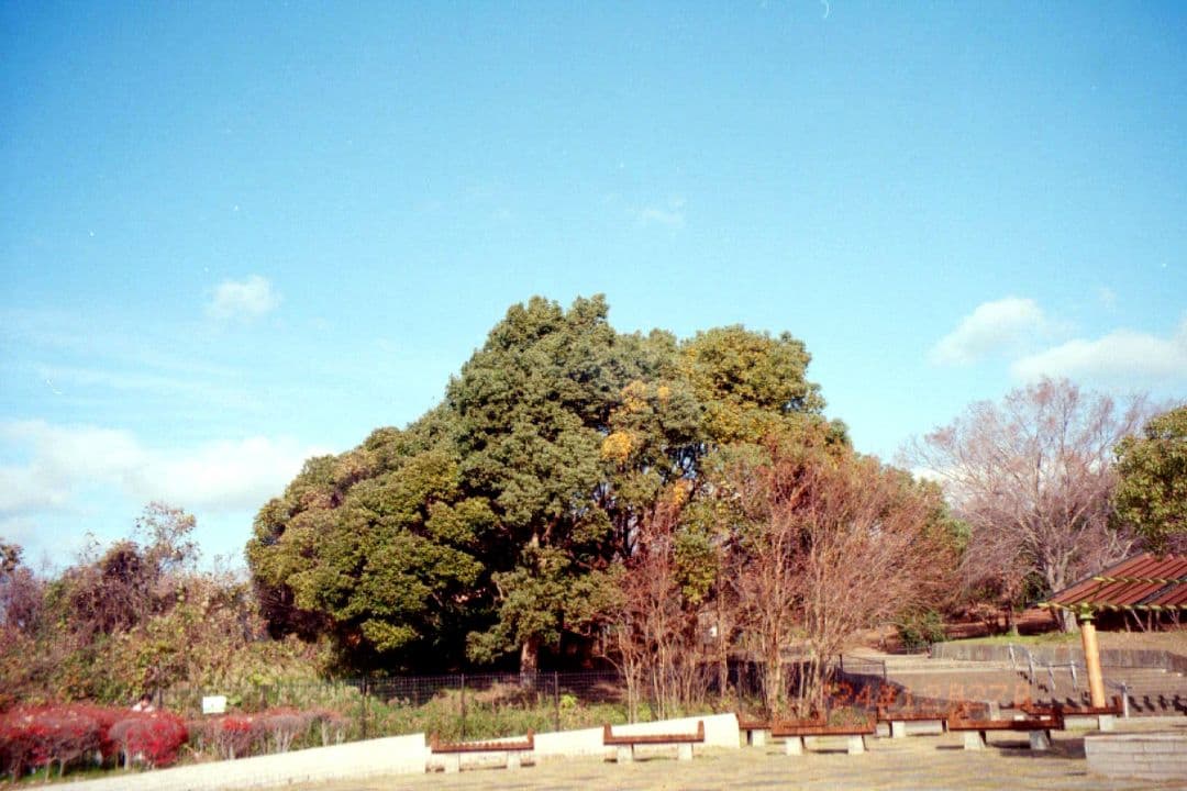 オートボーイ S(スーパー) / 動作確認・作例有り