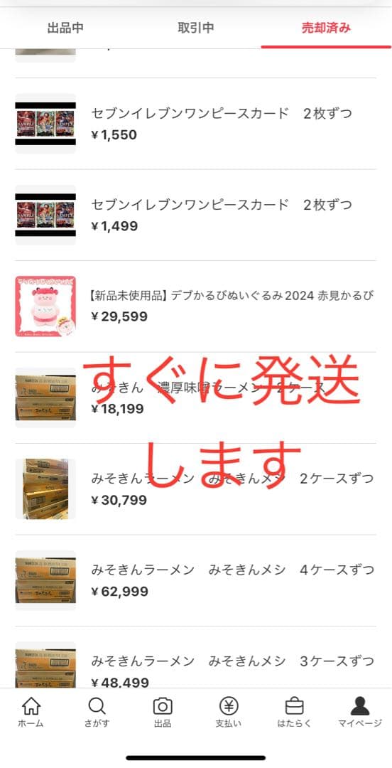 【新品未使用品】デブかるびぬいぐるみ2024 赤見かるび　3個