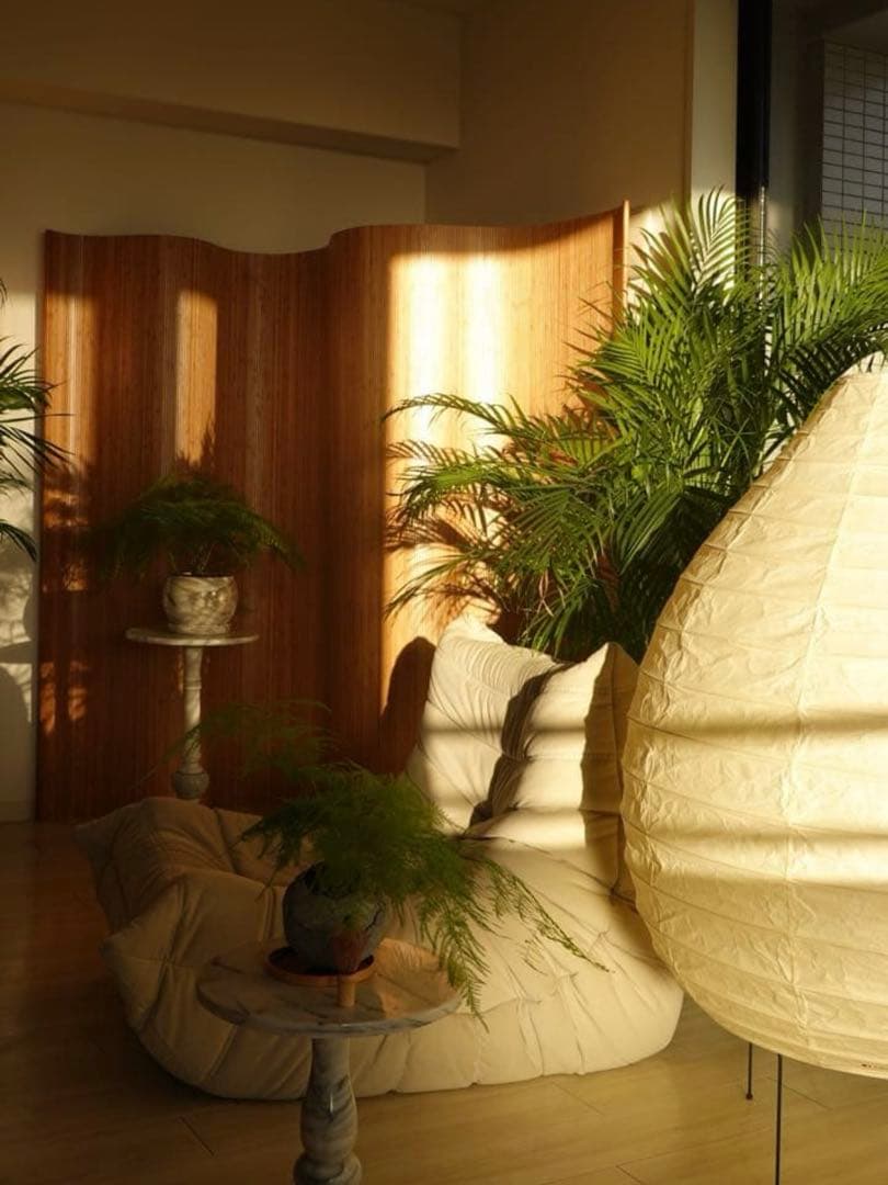 ‼️即配達‼️売り尽くしSALE‼️木製 波形パーテーション 縦（高さ）