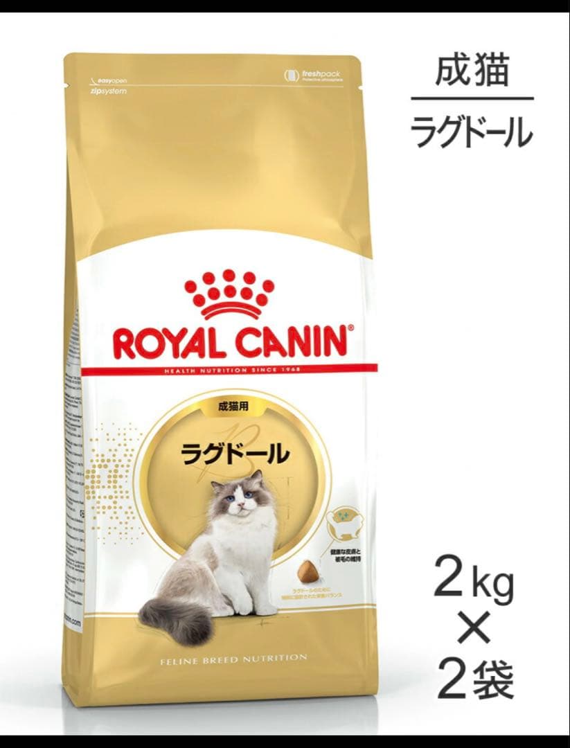 ★新品＆即日発送★ 2kg × 2袋 ロイヤルカナン ラグドール 成猫用