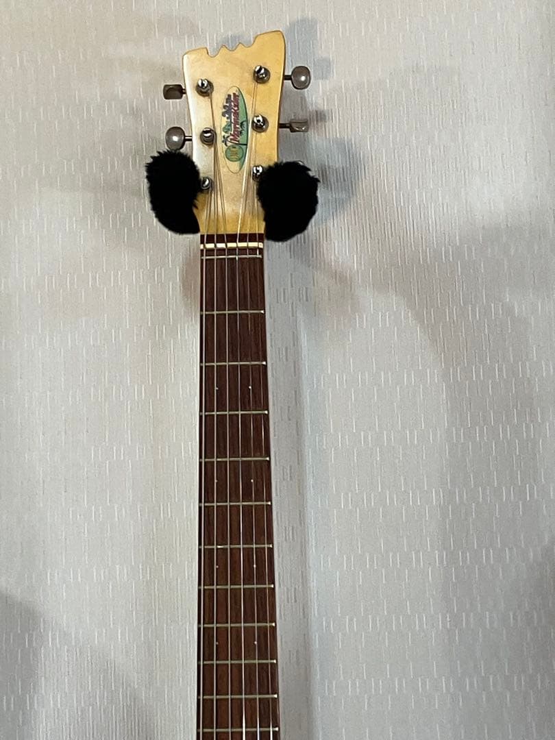 マリンライダー！内蔵アンプ・外部アンプ完動品❣️