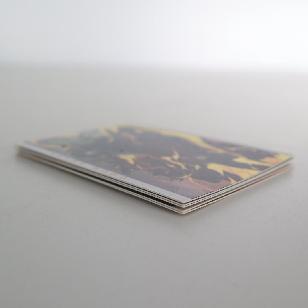 コードギアス 反逆のルルーシュ　カード　5枚　バンダイ　/ 水着 SP036 他