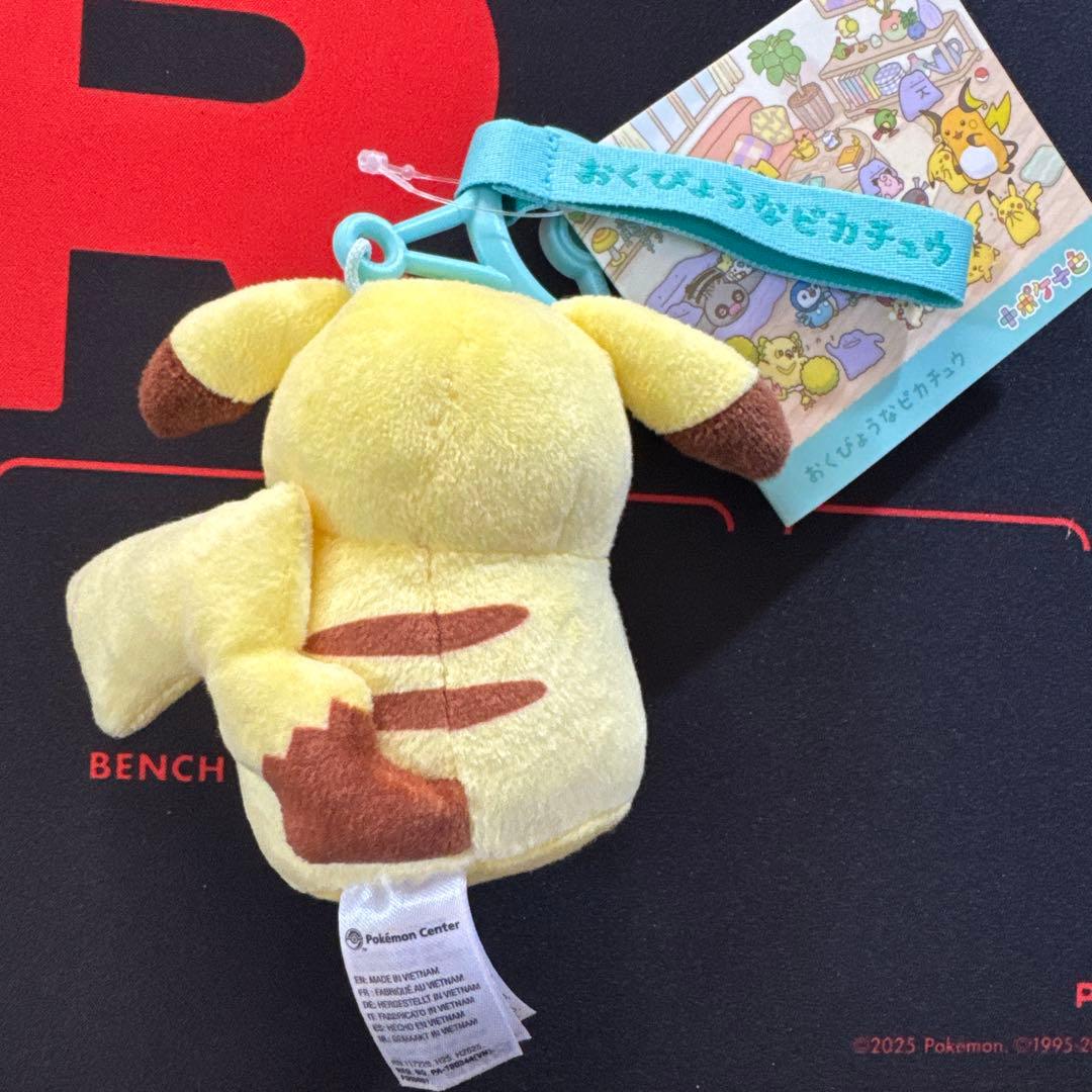 十ポケ十色　ピカチュウ メタモン　ぬいぐるみ