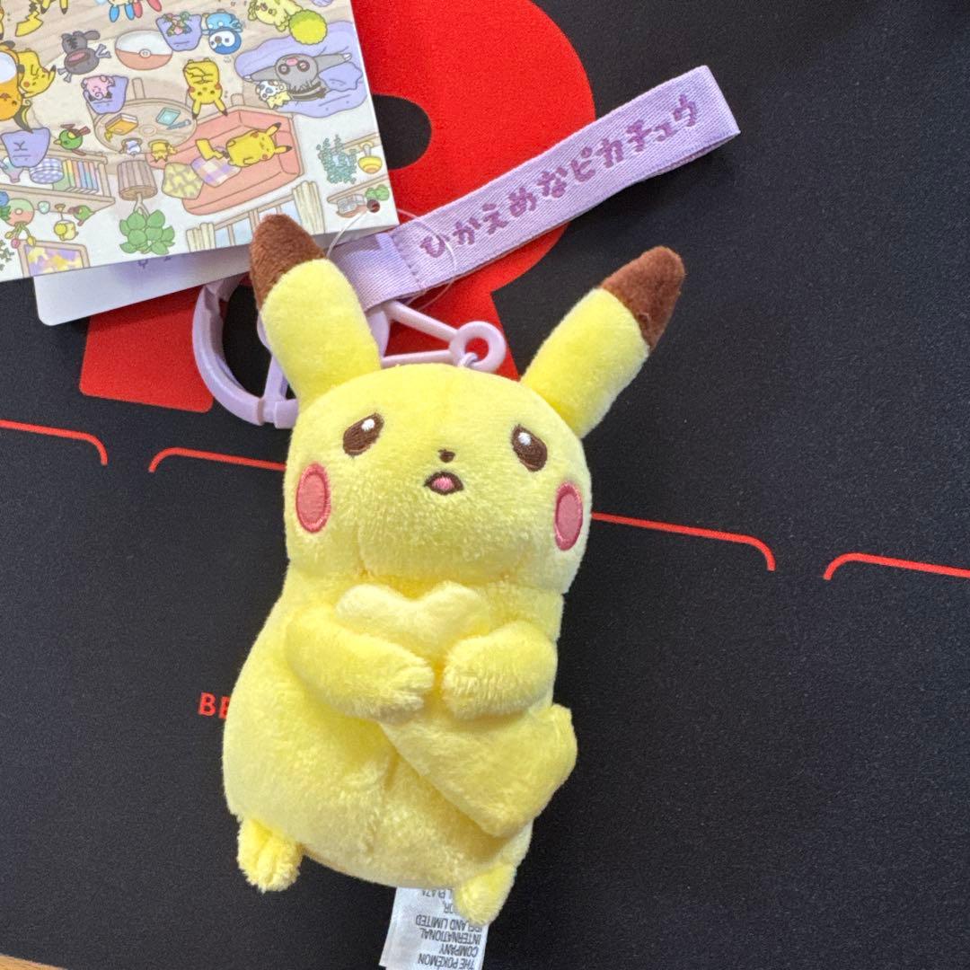 十ポケ十色　ピカチュウ メタモン　ぬいぐるみ