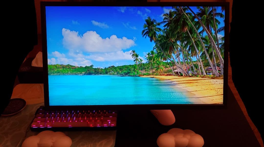 BenQ Zowie XL2566K ドット抜け無し 美品 ゲーミングモニター