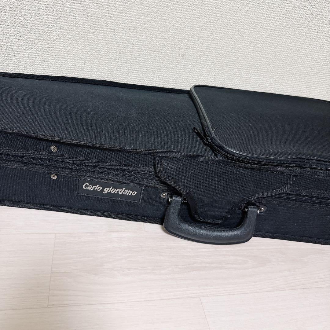 【美品】hallstatt ハルシュタット エレキバイオリン CV-210E