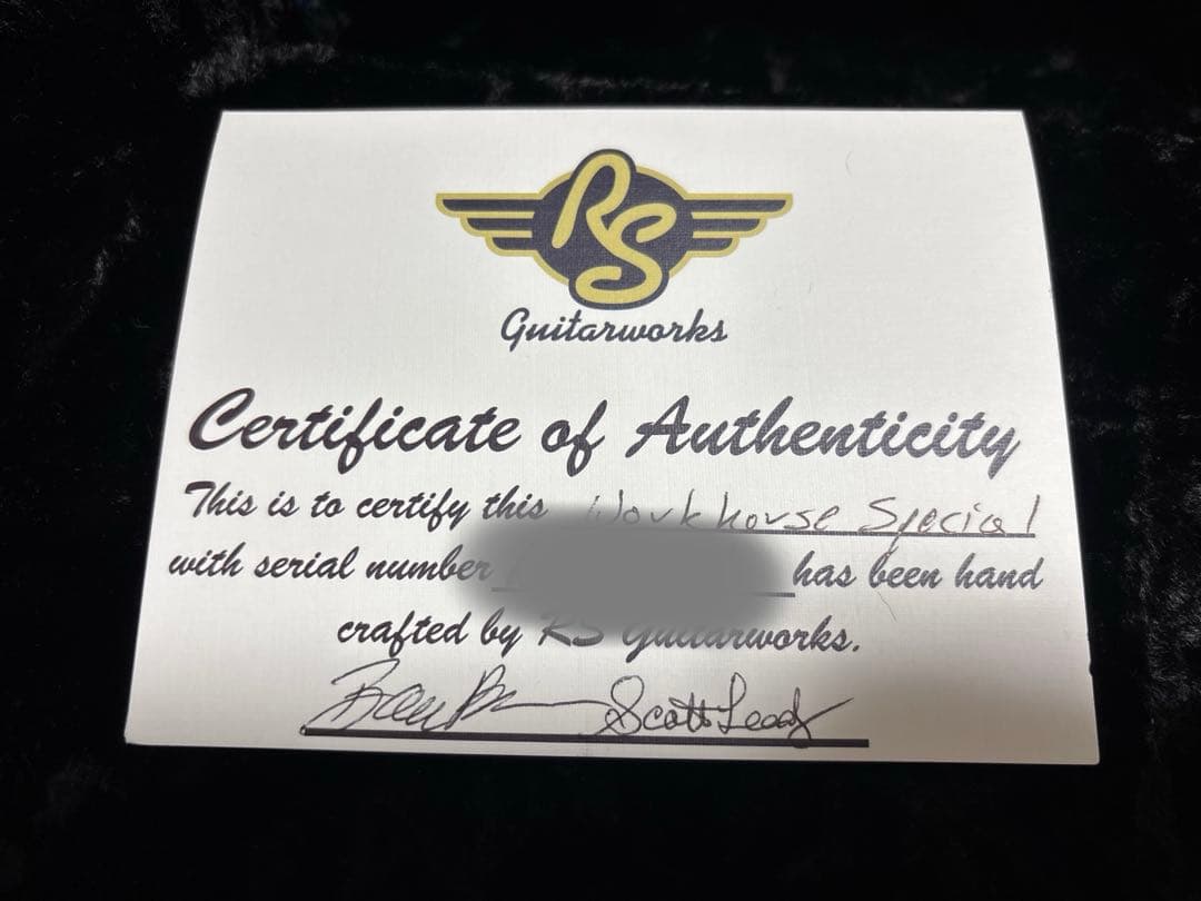 ギター rs guitarworks workhorse special