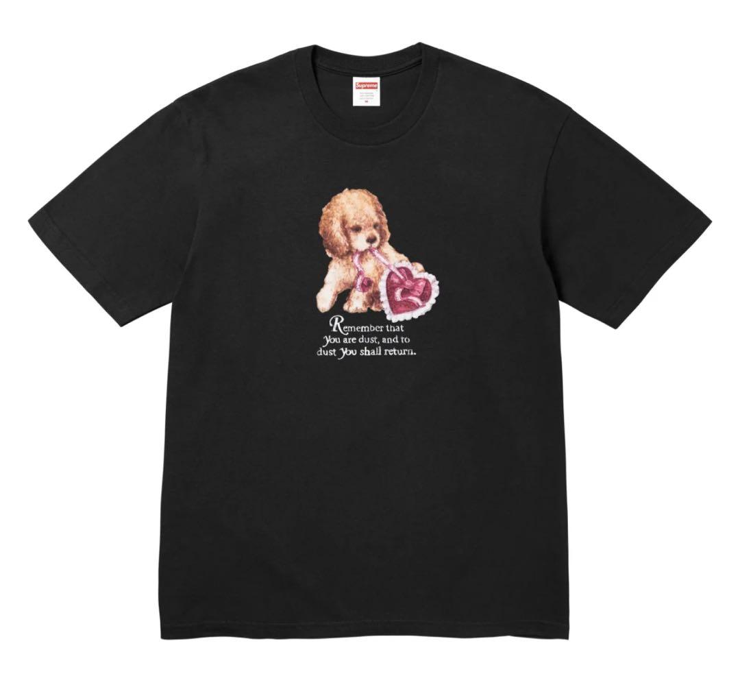 supreme Dust Tee Mサイズ