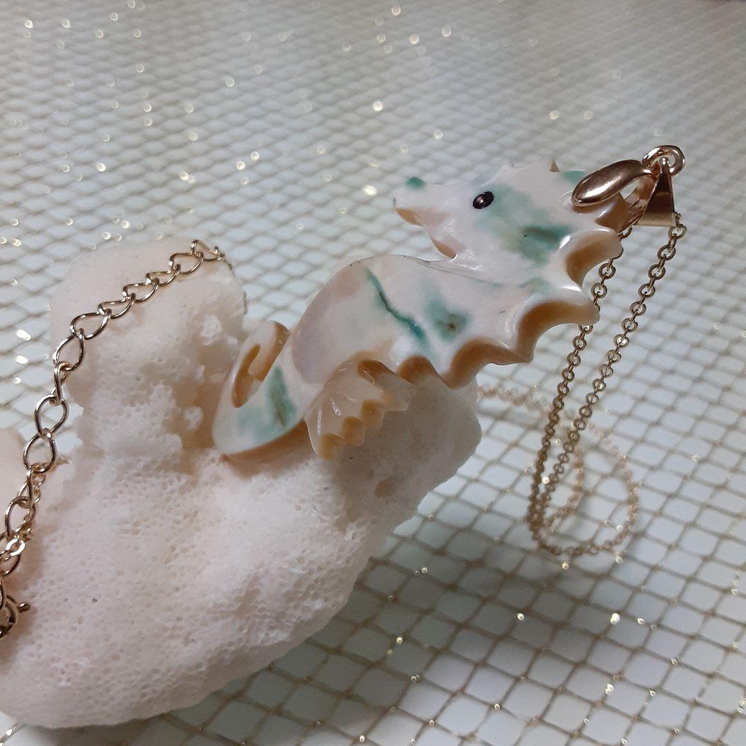 夜光貝　(カフェ結様。お取り引き中　)　『三点セット』