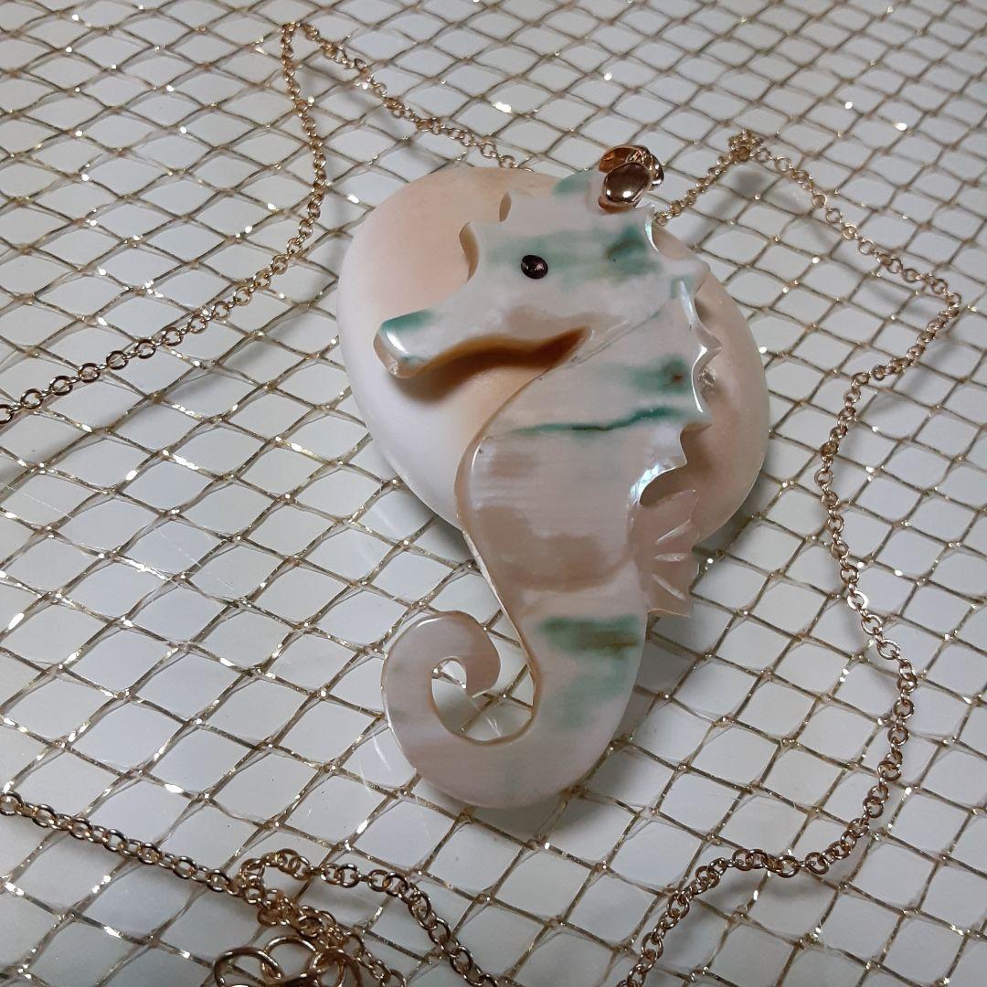 夜光貝　(カフェ結様。お取り引き中　)　『三点セット』