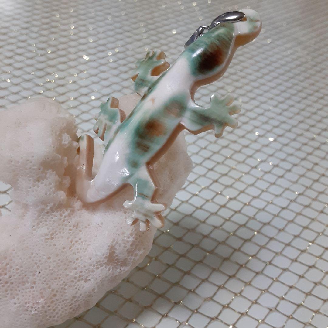 夜光貝　(カフェ結様。お取り引き中　)　『三点セット』