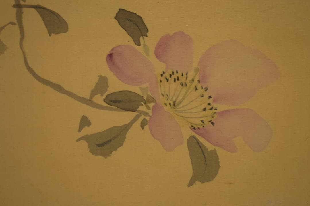 真作/池上秀畝/山茶花に小禽図/桐共箱付/布袋屋掛軸HI-751