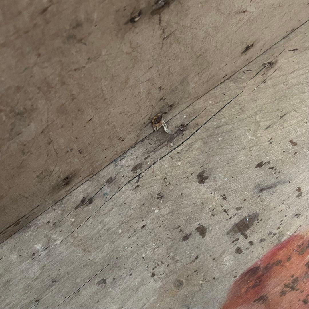 イギリスアンティーク ウッドボックス コンテナ 収納