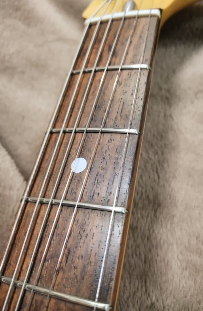 ジャズマスター ジャグマスター JAZZMASTER JAGMASTER