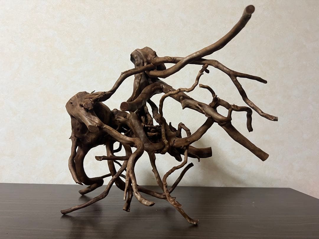 32205 ブランチウッド　流木　アクアリウム 沈水確認済