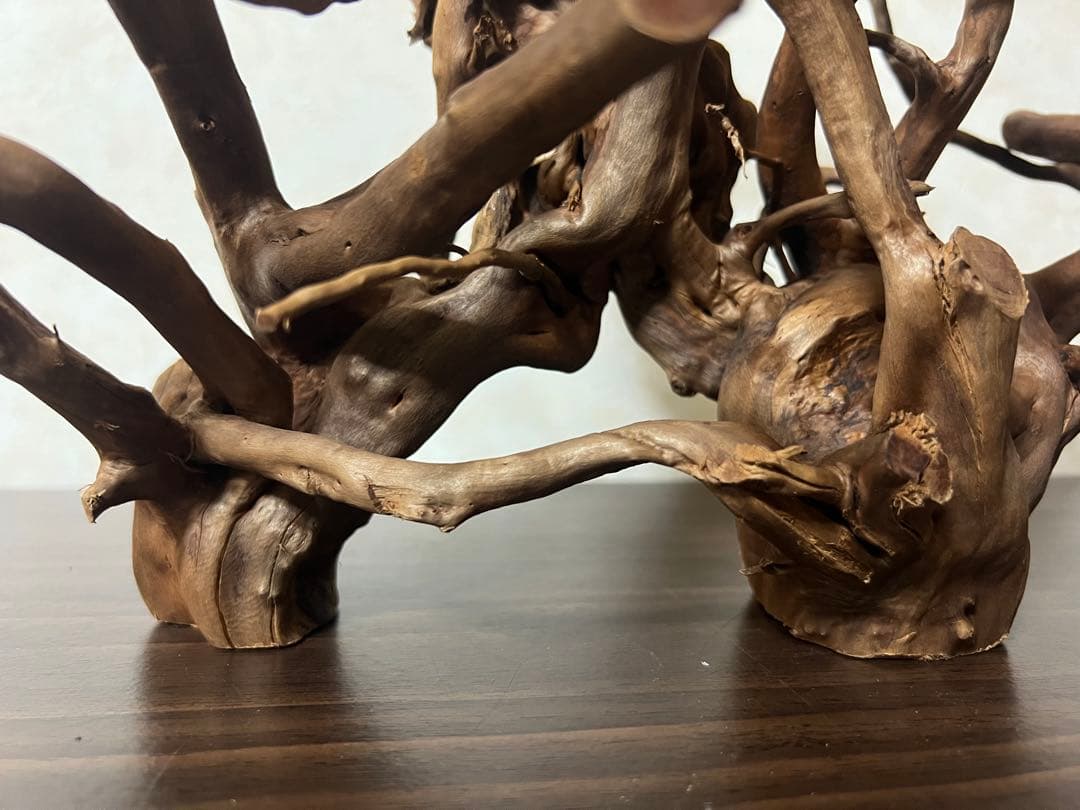 32205 ブランチウッド　流木　アクアリウム 沈水確認済