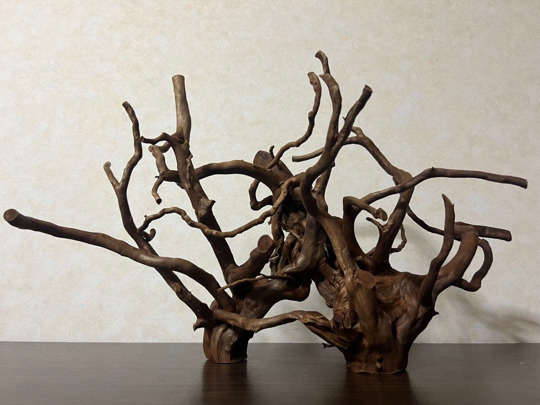 32205 ブランチウッド　流木　アクアリウム 沈水確認済