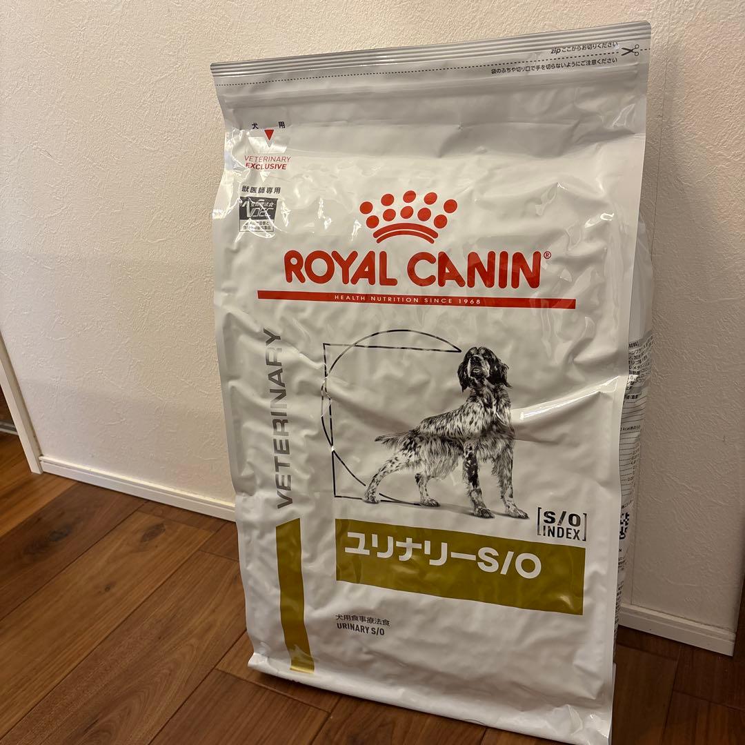  CANIN ユリナリー-S/O ドライフード