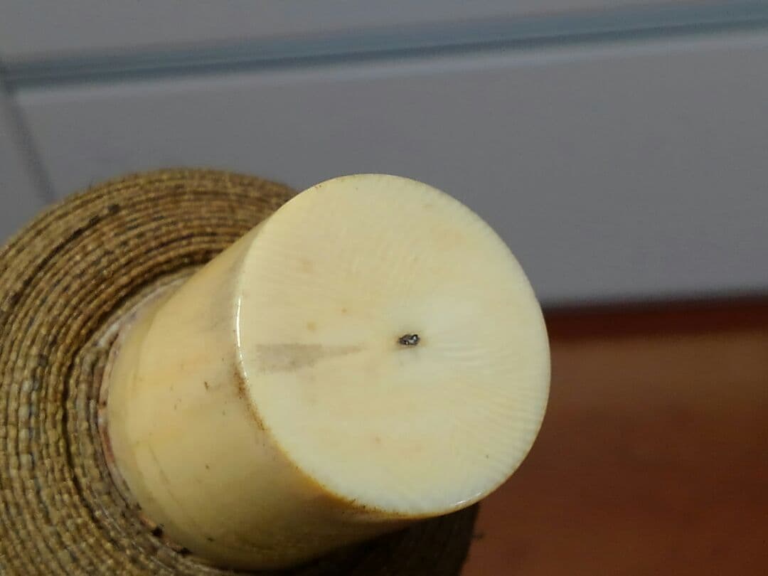 ♥掛軸　【模写】　高森 砕巌　不老長春　花鳥図　掛け軸