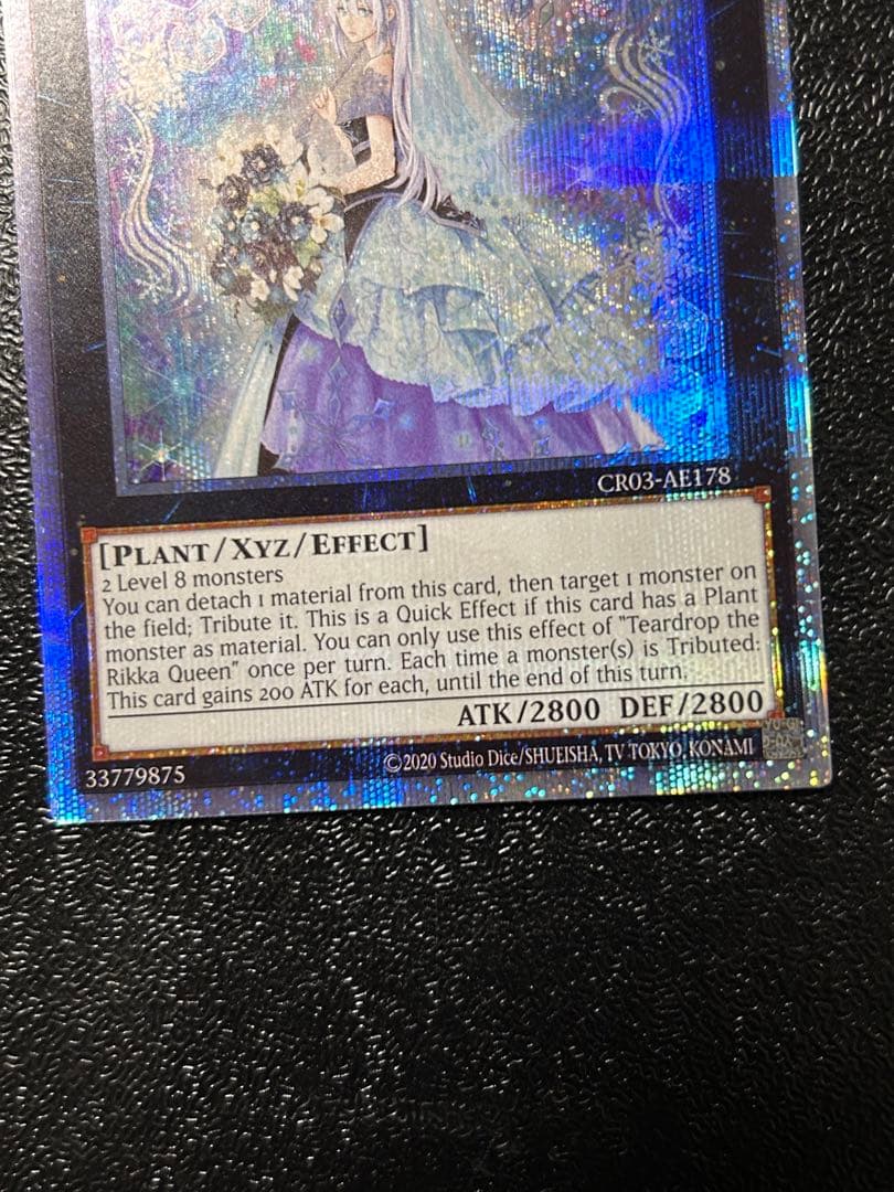 遊戯王 泰亜版 英語アジア 六花聖ティアドロップ 25th クオシク