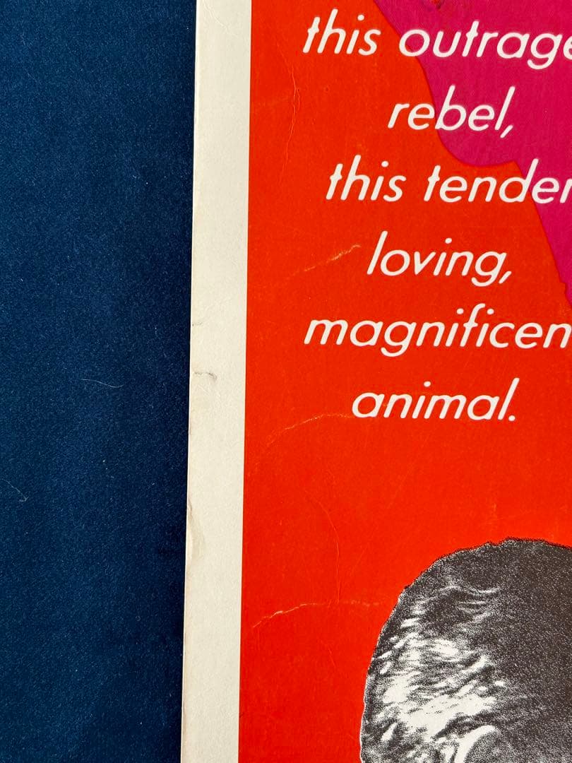 オリンポスの詩　USオリジナル映画ポスター