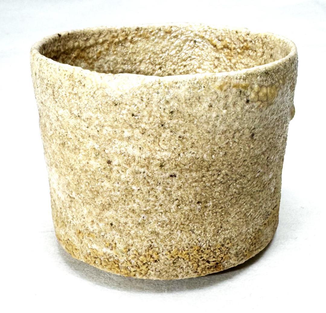 明時代 古染付 唐草紋様茶碗 伝世品焼物 青花 ウブ品 入手困難 WWTT268