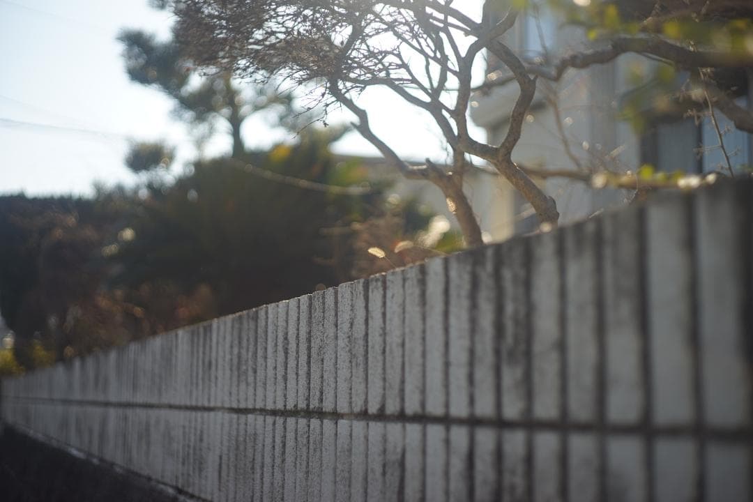 LEICA SUMMICRON-M 50mm F2 初期-前期型