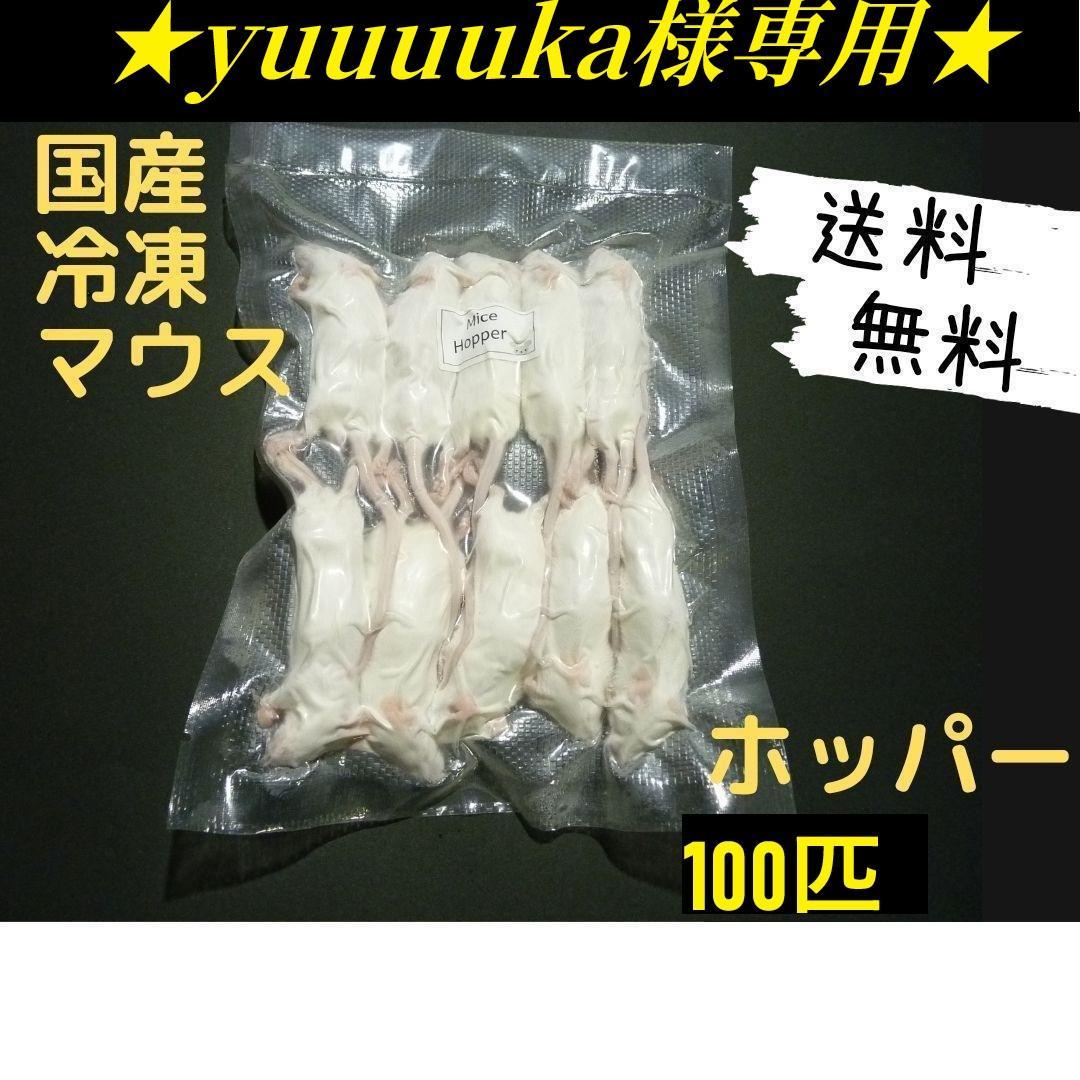 ★yuuuuka★国産冷凍マウス ホッパー 100匹 (地域限定送料無料)