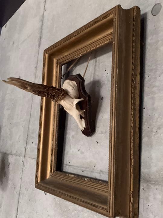 アンティーク スカル ホーン フレーム 英国