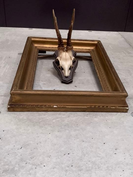 アンティーク スカル ホーン フレーム 英国