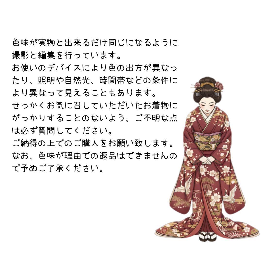 セミアンティーク　振袖フルセット　西陣織袋帯　156〜166　カトレア　可愛い❤︎