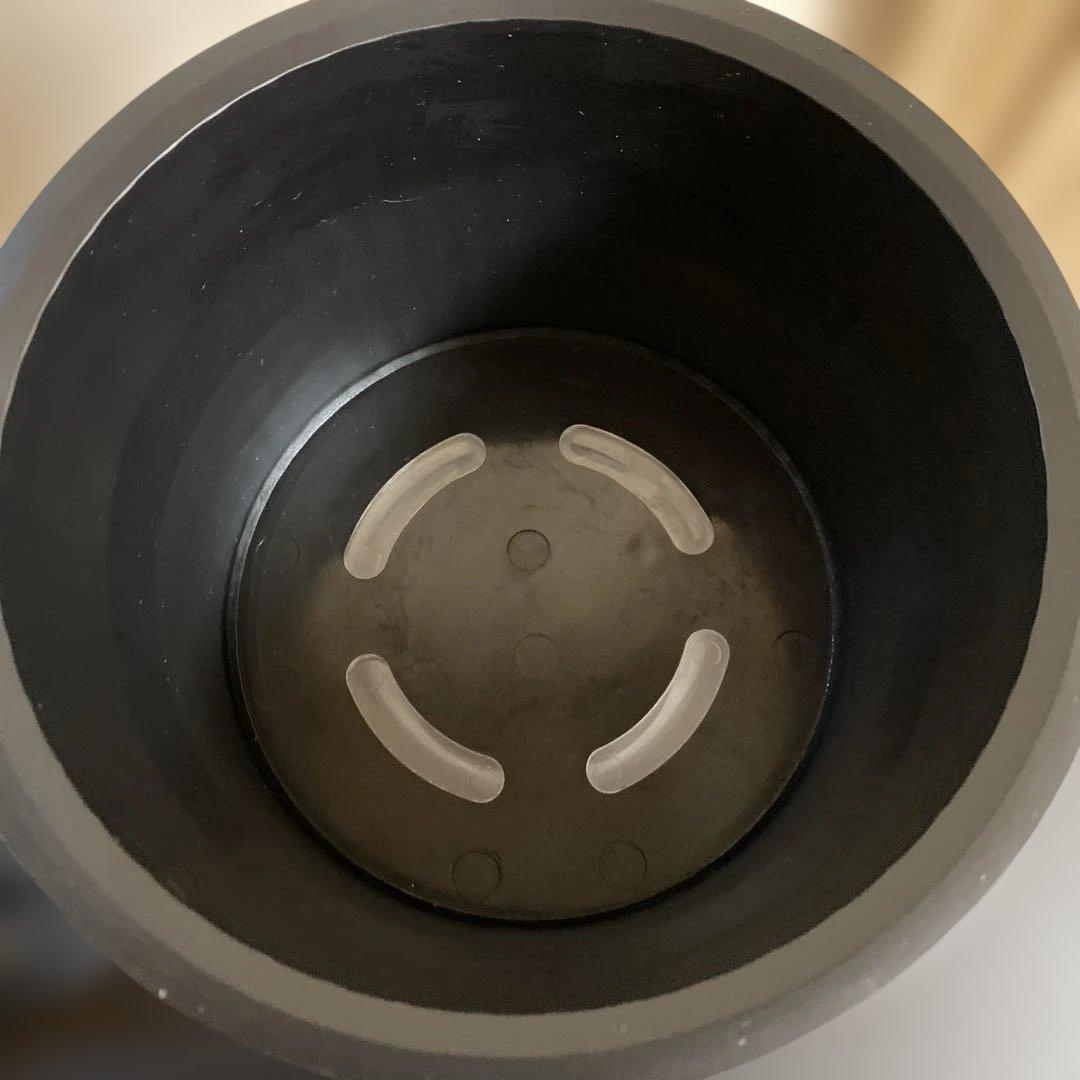 Animal Water III 紫色 LEDライト付き