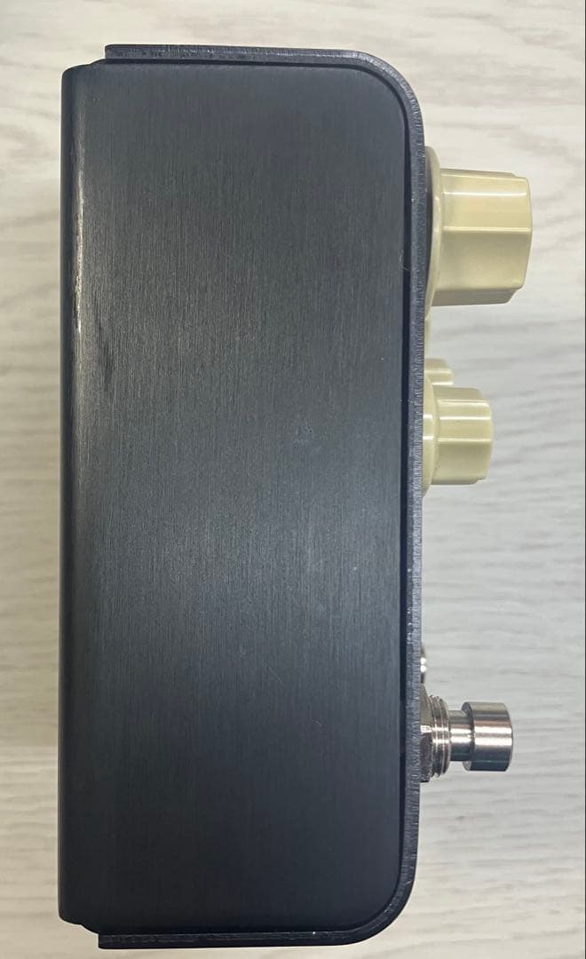 Strymon Flint（ストライモン フリント）付属品完備 美品 中古