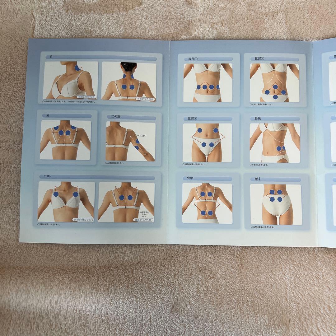 株式会社テクノリンク　ピュアライン　ベルガ