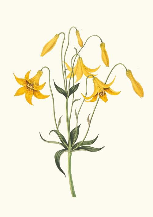 m10★ポスター8枚