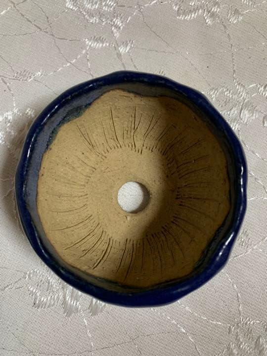 東福寺　ミニ盆栽鉢　るり色