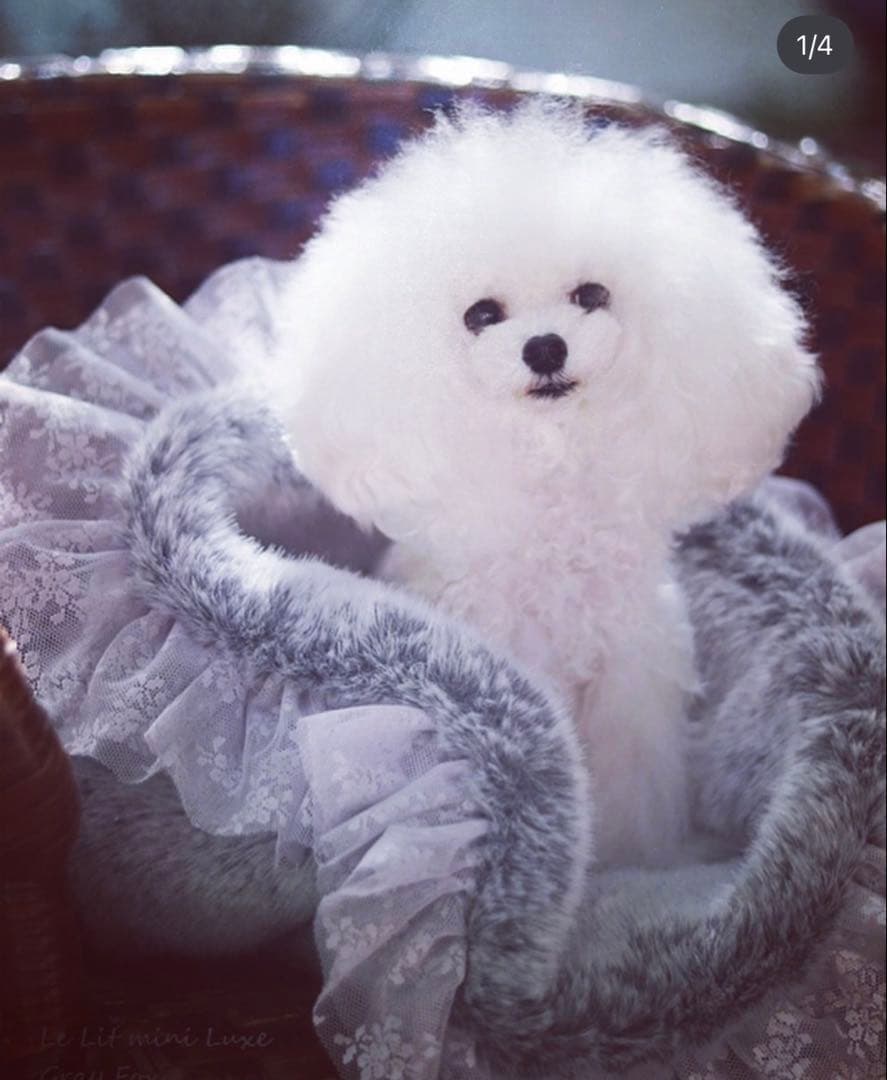 For dear D 高級エコファー　リレット