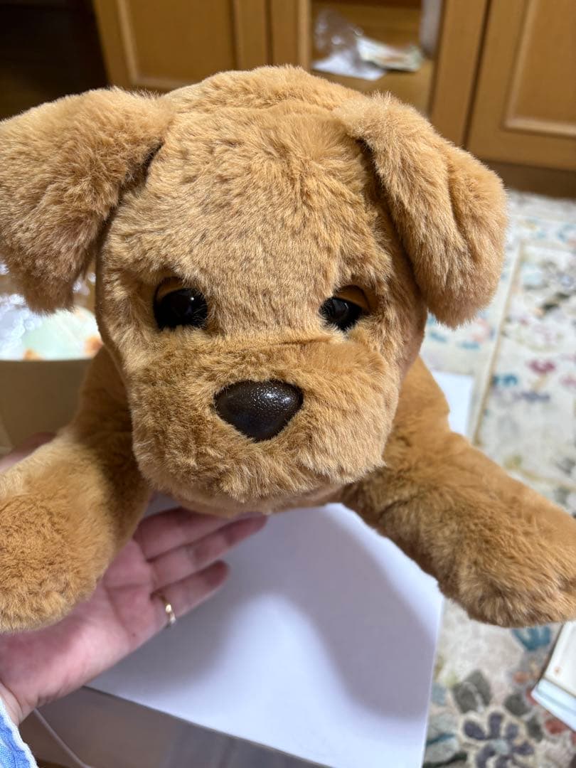 AIロボット　タカラトミー　ダッキースター