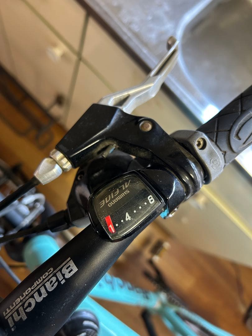 【180cm以上】ビアンキ　クロスバイク　bianchi camaleonte