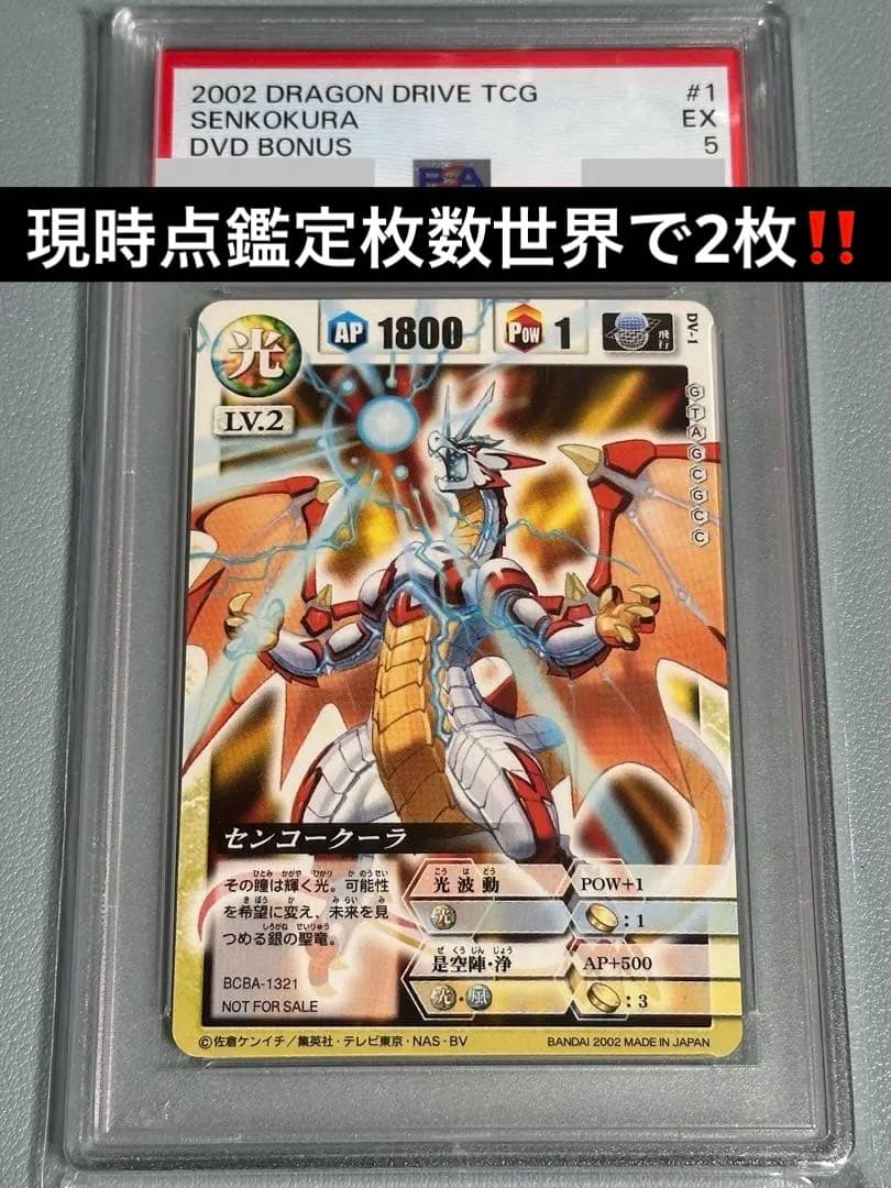 DVD特典センコークーラPSA5