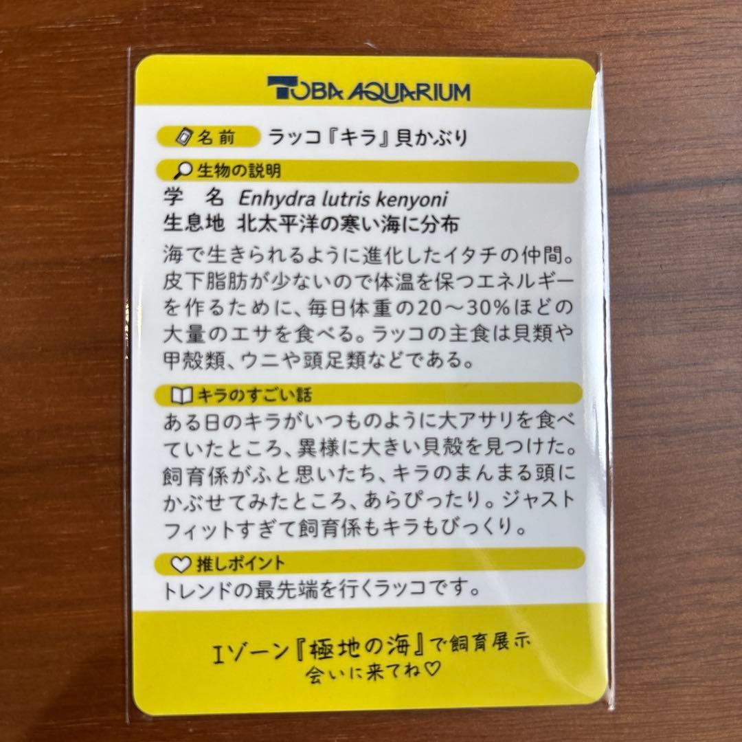 キラ レアカード 鳥羽水族館 70周年コレクションカード