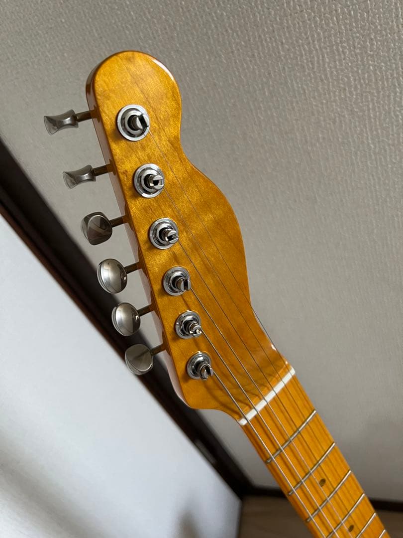 ARIA Pro2 backaroo テレキャスターシンライン