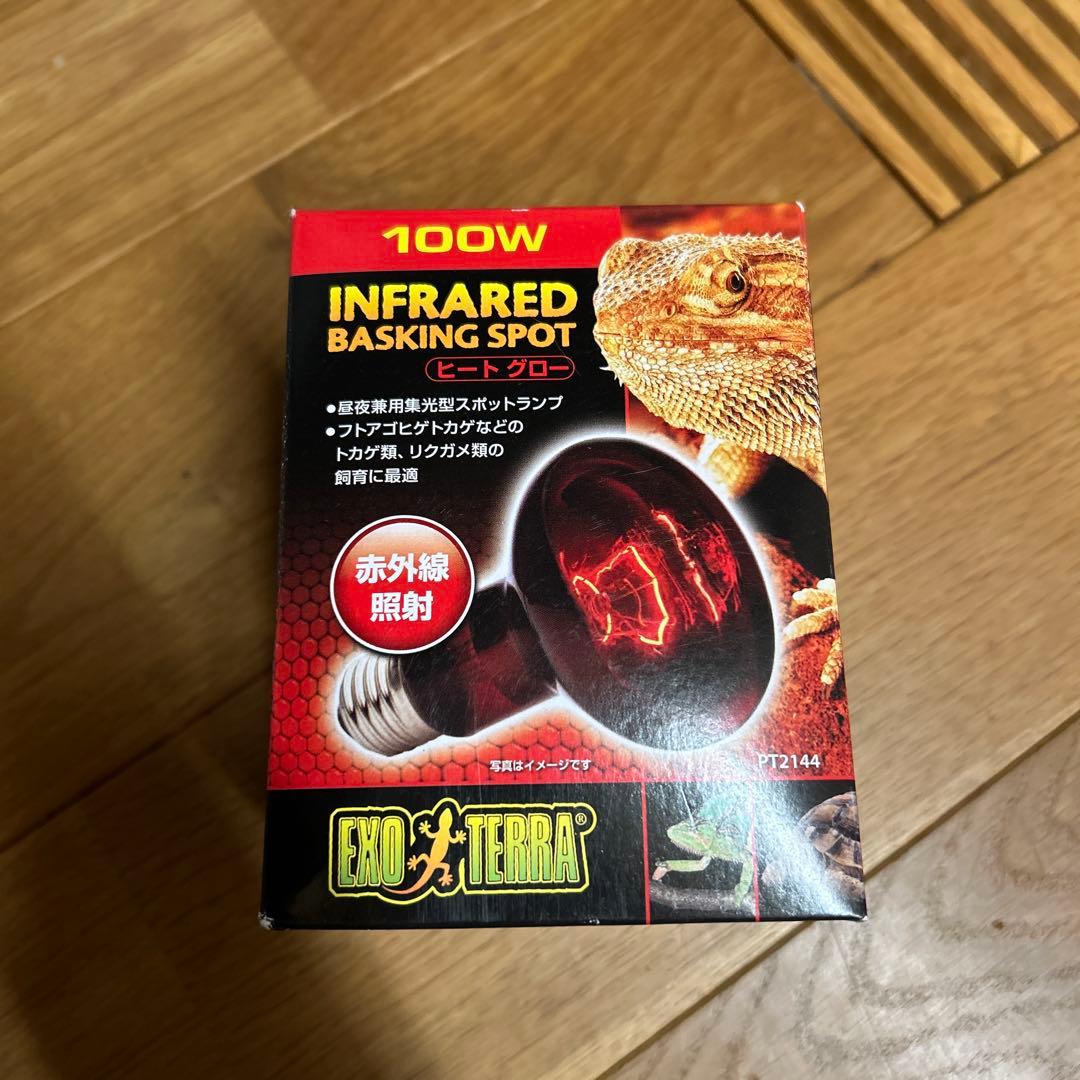 大型ガラス飼育ケージ 温度計付き