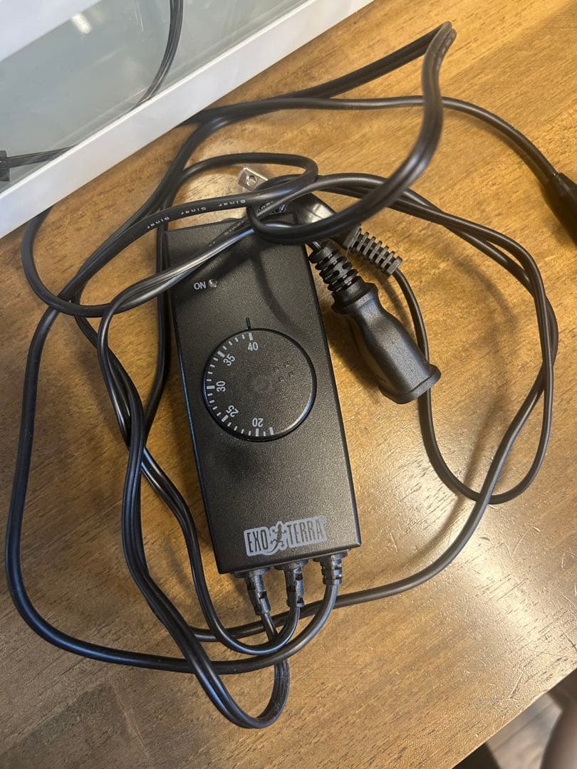 大型ガラス飼育ケージ 温度計付き